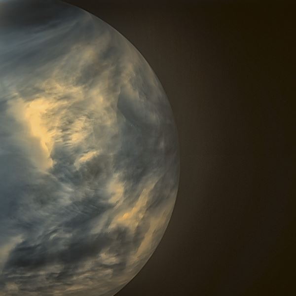 Даже самые выносливые земные организмы не выживут в облаках Венеры