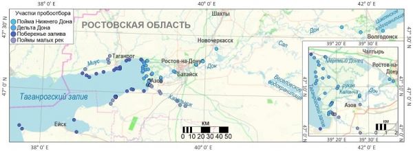 Ученые оценили участки побережья Таганрогского залива по степени токсичности